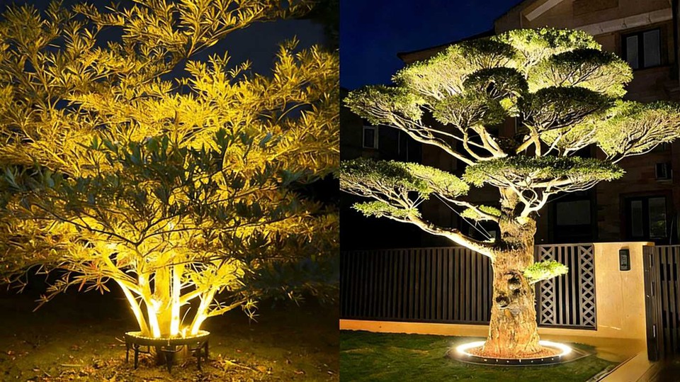 info-1365-767 info-1365-767